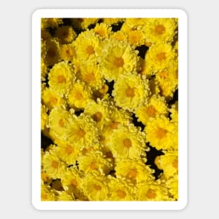 mums yellow mother's day mom Magnet